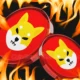 Shiba Inu Weekly Burn .webp.webp