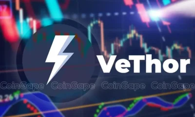 Vethor Token.webp.webp