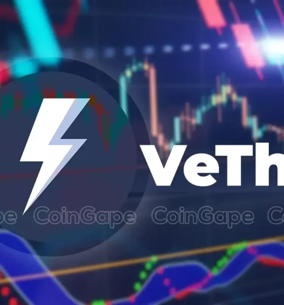 Vethor Token.webp.webp