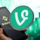 Vine Coin Price Surges 80 Amid This Binance Announcement Whats Next.webp.webp