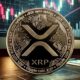 Xrp 91529d.jpg