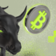 Bitcoin Bull Market Bic Es.png