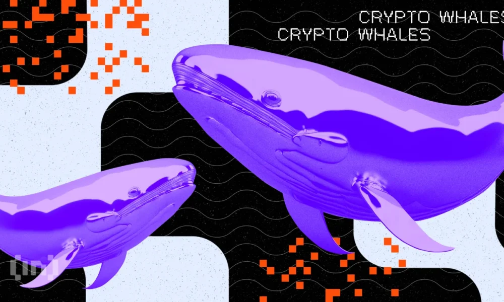 Bic Cryptowhales Twowhales.png.webp.webp