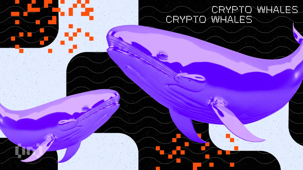 Bic Cryptowhales Twowhales.png.webp.webp