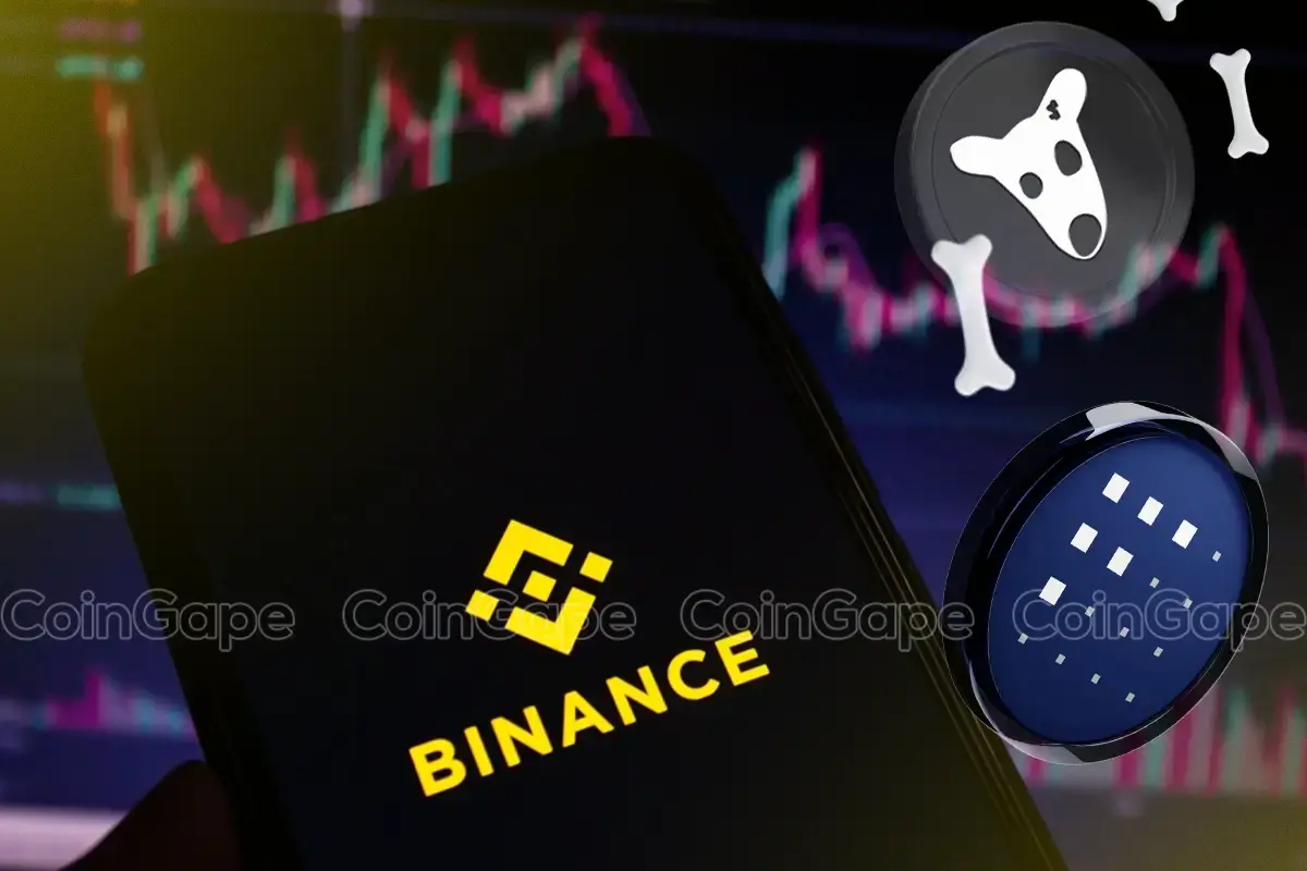 Binance To Delist Dogs Fet These 2 Crypto What Lies Ahead.webp.webp