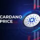 Cardano Whales Go On Buying Spree Is Price Rebound Ahead.jpg