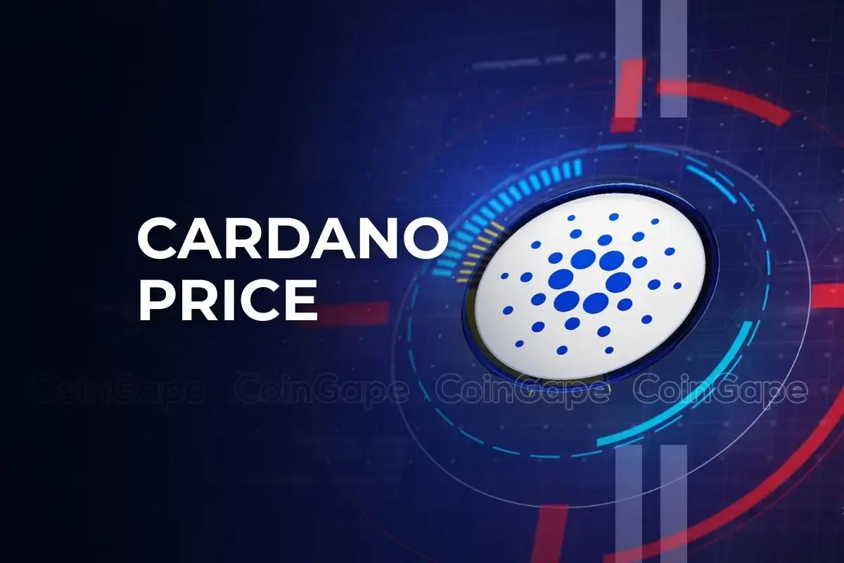 Cardano Whales Go On Buying Spree Is Price Rebound Ahead.jpg