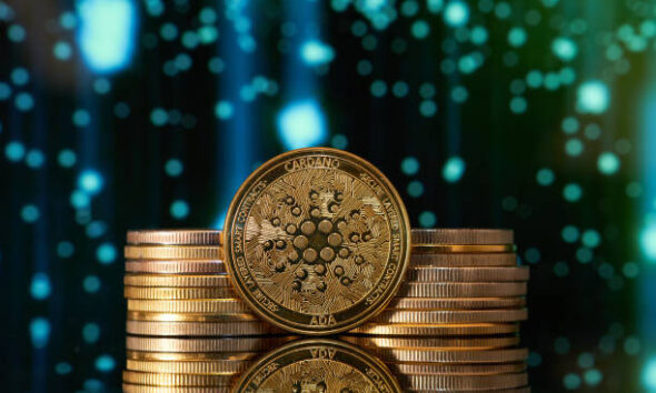 Cardano From Istock 1.jpg