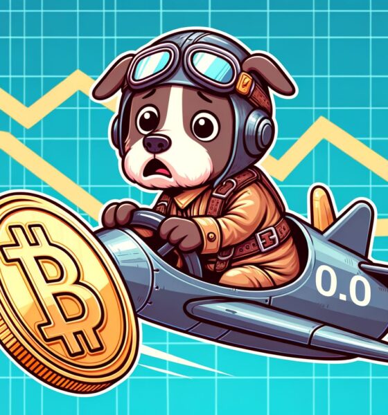 Dogecoin Doge Nosedives Toward 0.20.jpg