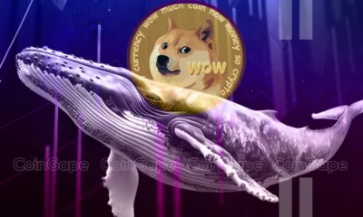 Dogecoin Whales Buy Over 1 Billion Doge Is A Massive Rally Starting .webp.webp