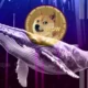 Dogecoin Whales Buy Over 1 Billion Doge Is A Massive Rally Starting .webp.webp