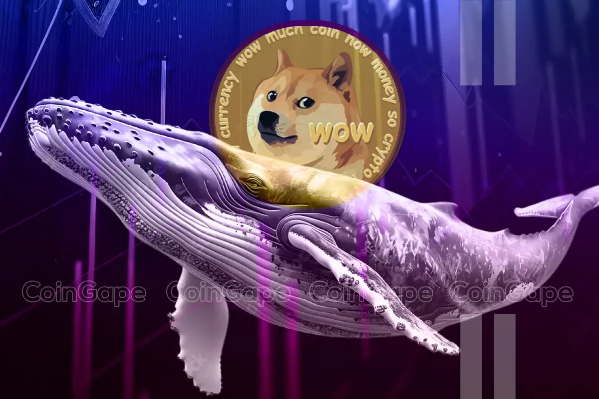 Dogecoin Whales Buy Over 1 Billion Doge Is A Massive Rally Starting .webp.webp