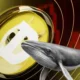 Dogecoin Whales Offload 312m Doge Amid Market Turmoil.webp.webp