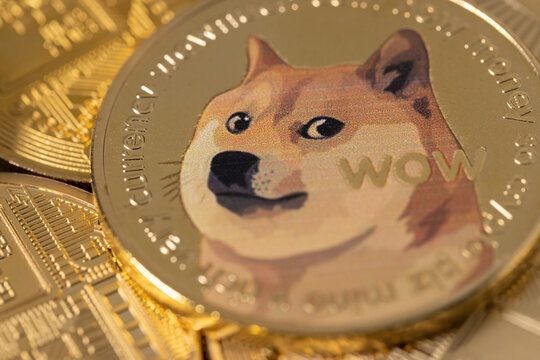 Dogecoin From Adobe Stock 13.jpg