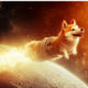 Dogecoin From Medium.png