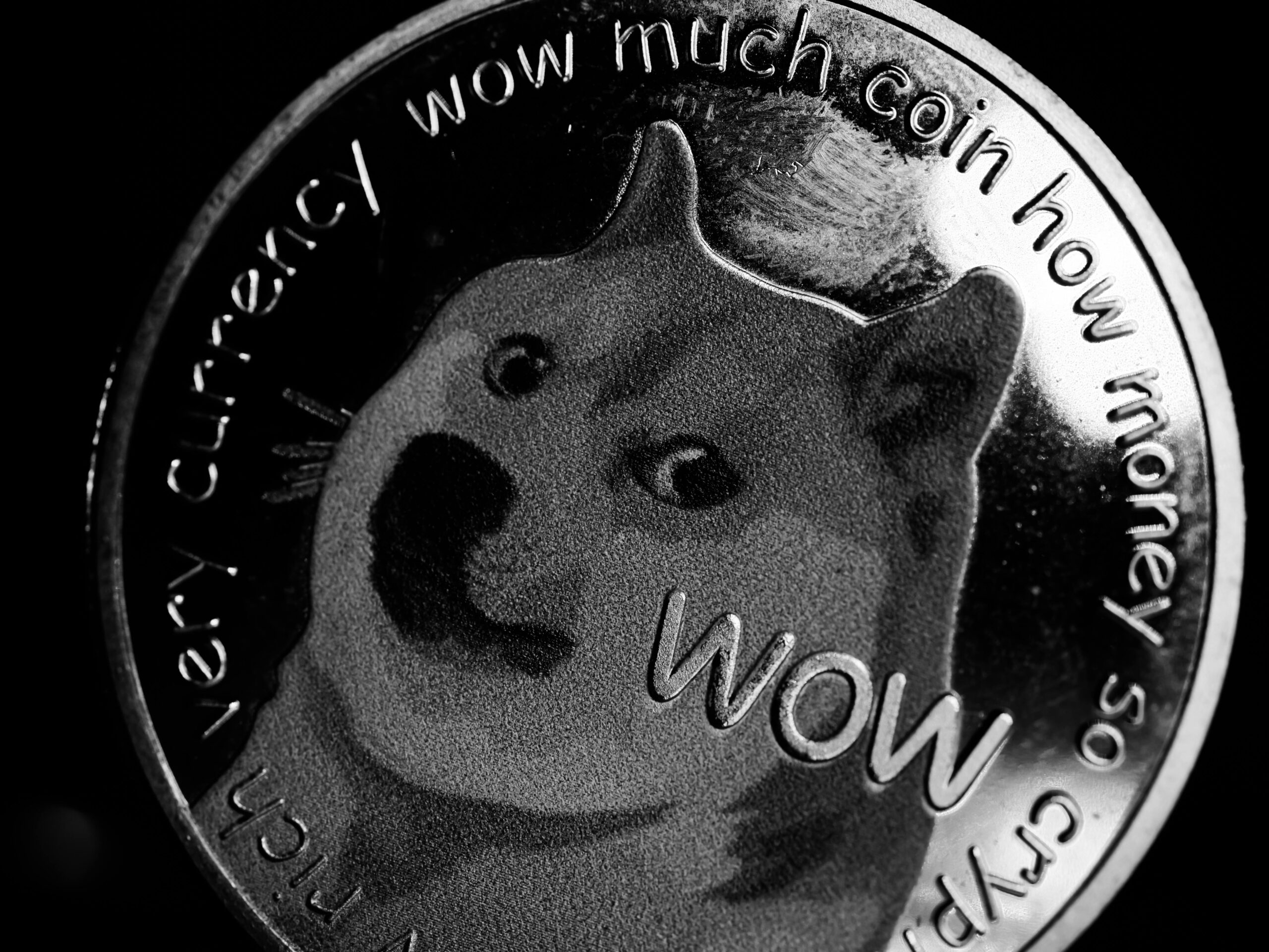 Dogecoin From Pexels.jpeg