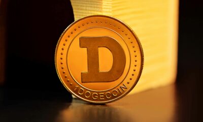 Dogecoin From Unsplash 4.jpg