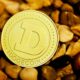 Dogecoin From Unsplash 41.jpg