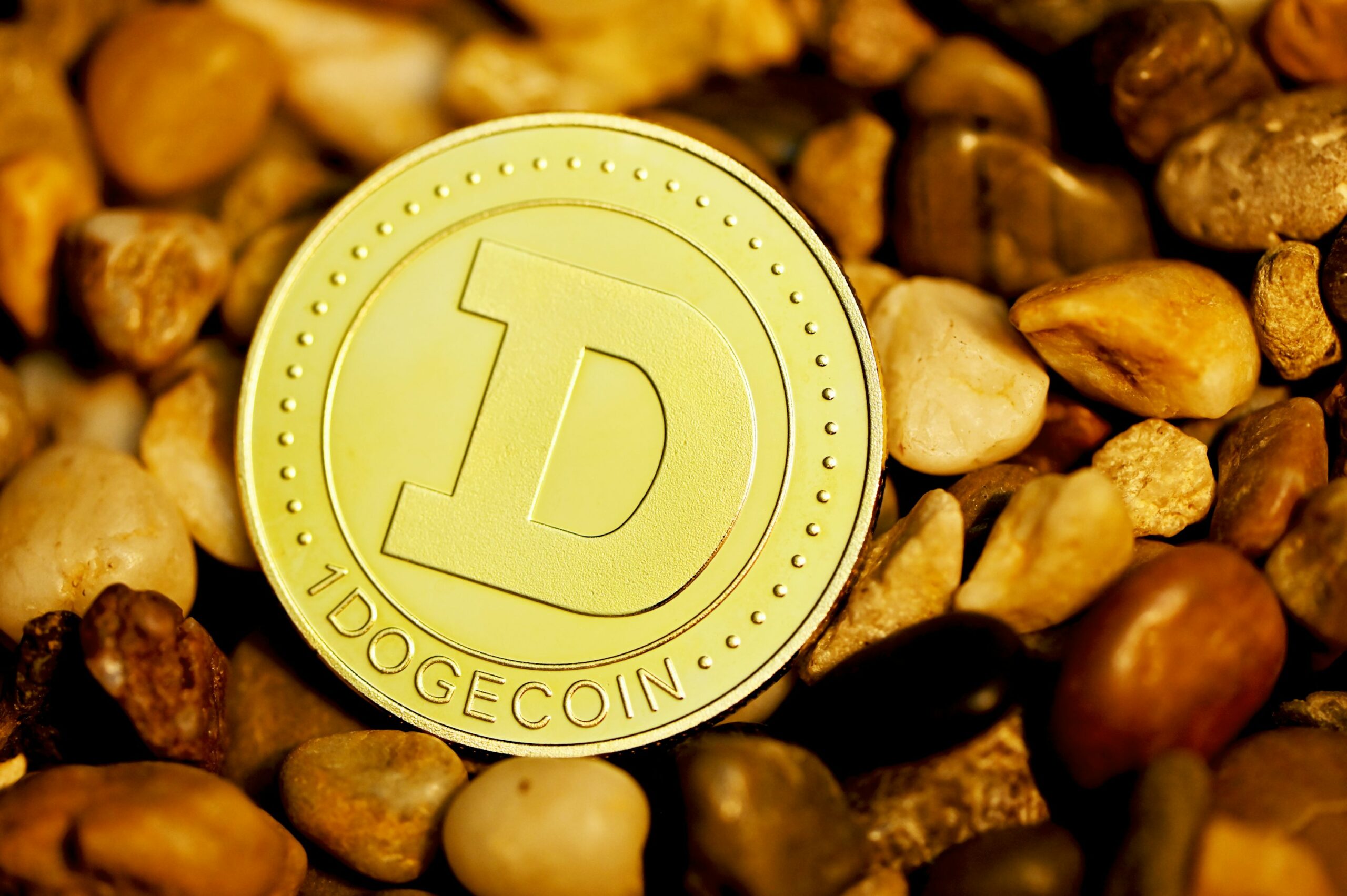 Dogecoin From Unsplash 41.jpg