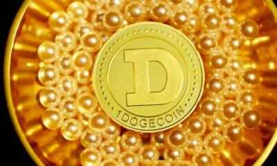 Dogecoin From Unsplash 48.jpg