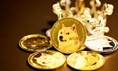 Dogecoin From Unsplash 5.jpg