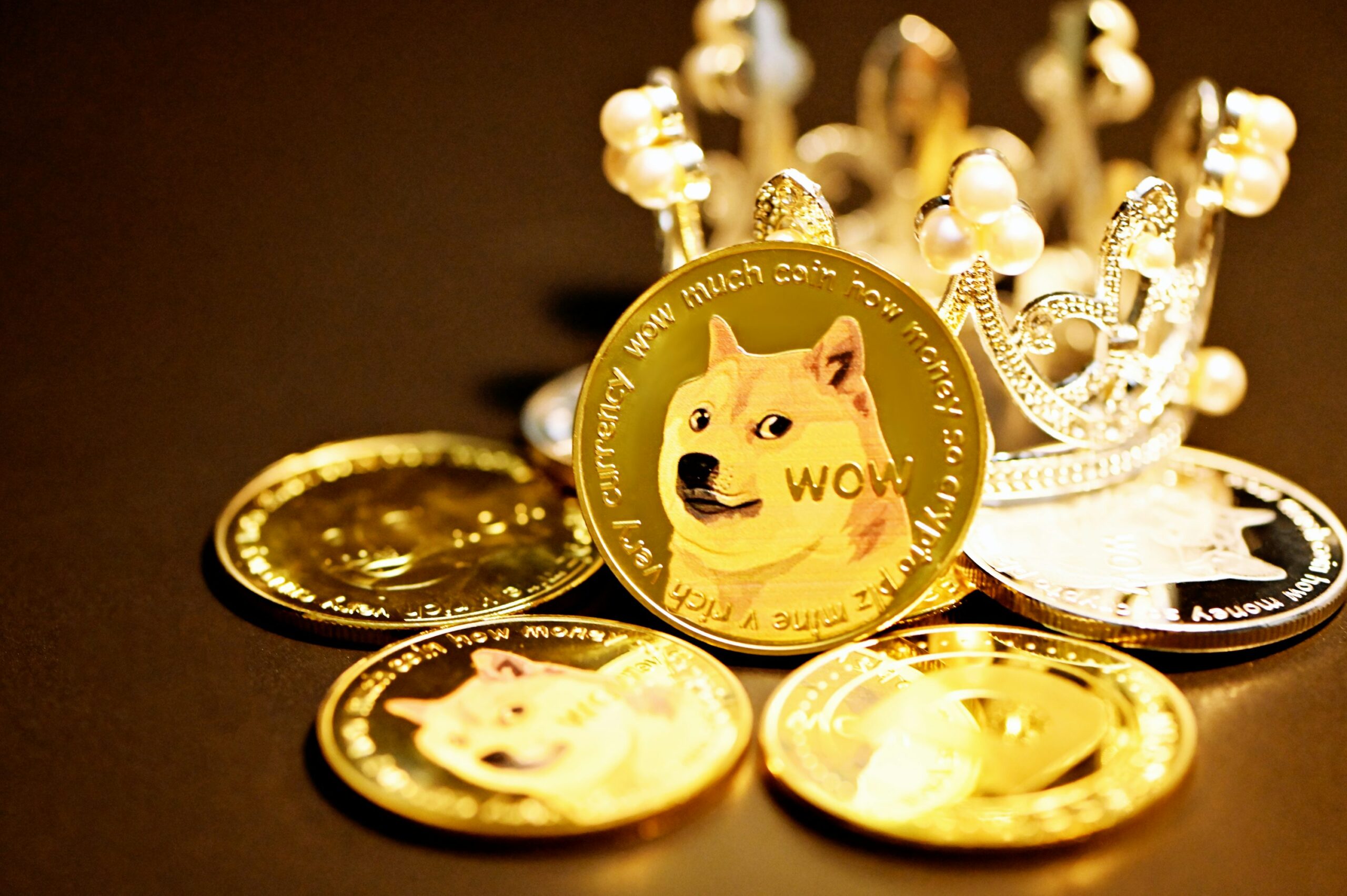 Dogecoin From Unsplash 5.jpg