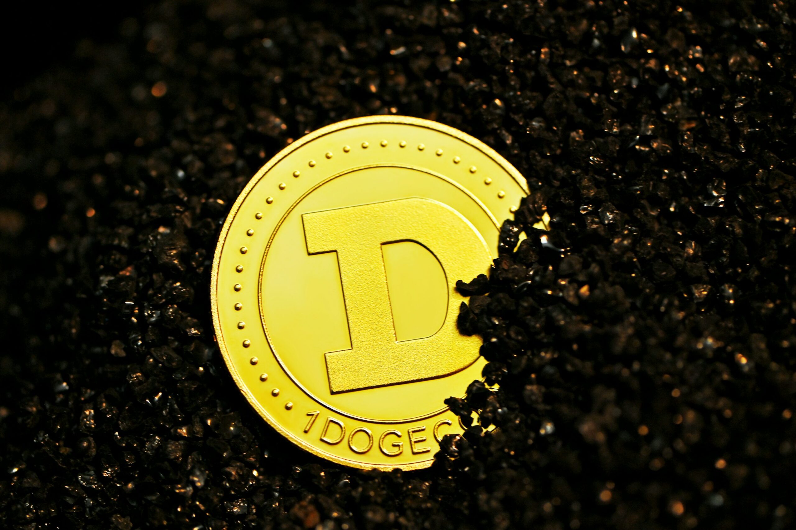 Dogecoin From Unsplash 56.jpg