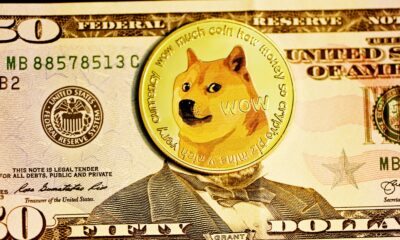 Dogecoin From Unsplash 59.jpg