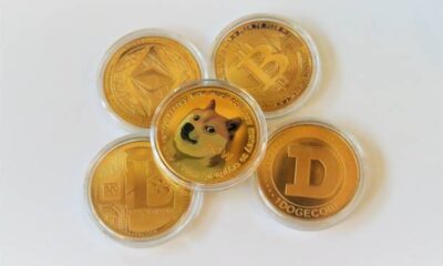 Dogecoin From Istock 8.jpg