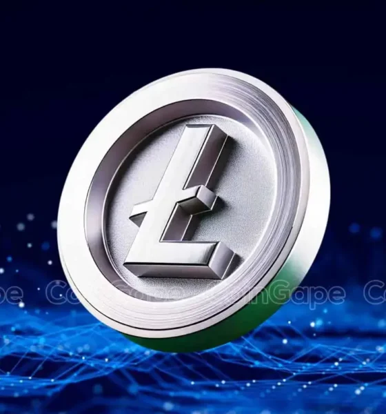 Litecoin Price Jumps 17 On Etf Expectations Whale Buying Spree.webp.webp