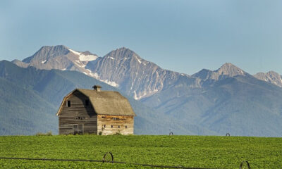 Montana House Representatives Reject Bitcoin Reserve Bill.jpg