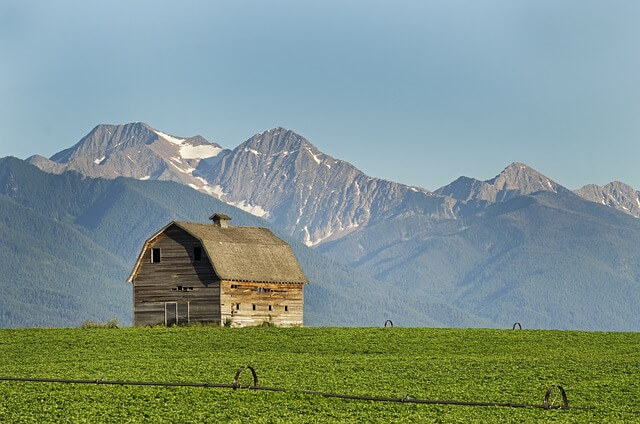 Montana House Representatives Reject Bitcoin Reserve Bill.jpg