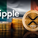 Ripple From Medium.png