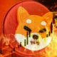 Shiba Inu Burn Rate Up Hinting At Shib Breakout Soon.webp.webp