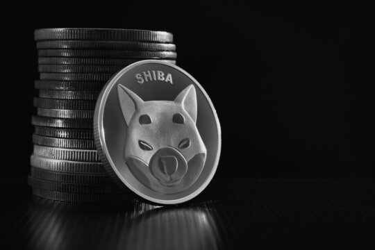 Shiba Inu From Adobe Stock 3.jpg