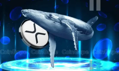 Xrp News Ripple Whales Buy 40m Coins Sparking Speculations Over Rally To 3.5.webp.webp