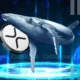 Xrp News Ripple Whales Buy 40m Coins Sparking Speculations Over Rally To 3.5.webp.webp