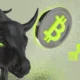 Bitcoin Bull Market Bic Es.png.webp.webp