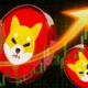 Will Shiba Inu Price Reach 1 Dollar By 2030.webp.webp