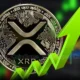 Analyst predicts xrp price rally to 30 by may 2025 heres why 1.webp.webp