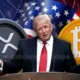 Btc rivals to buy before trump approves strategic bitcoin reserve 2.webp.webp