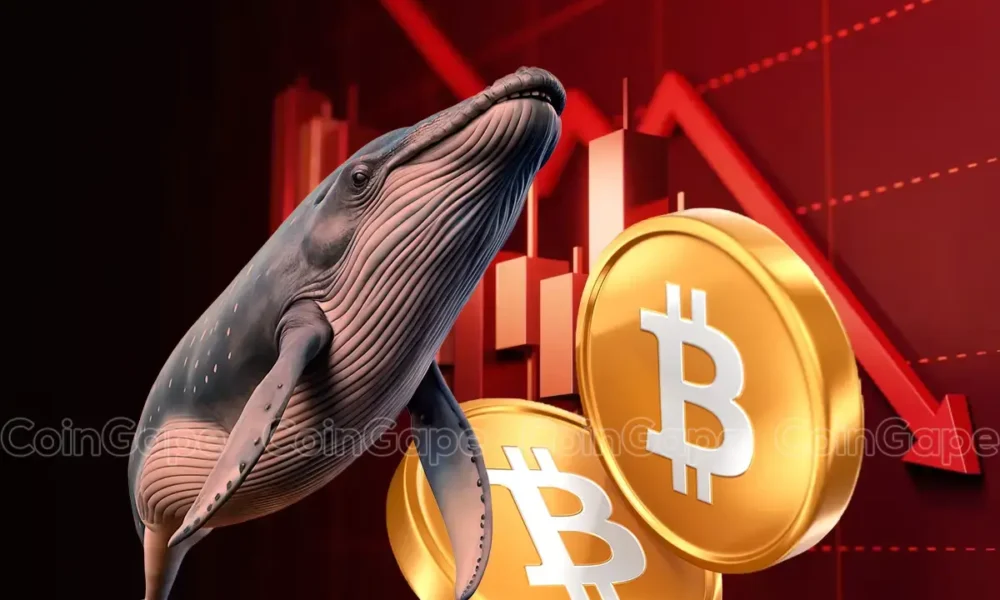 Bitcoin whale lost 14m amid recent crypto market crash.webp.webp