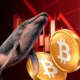 Bitcoin whale lost 14m amid recent crypto market crash.webp.webp