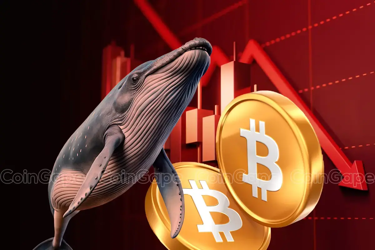 Bitcoin whale lost 14m amid recent crypto market crash.webp.webp