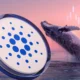 Can cardano price reach 1 as whales gobble 130 million ada.webp.webp