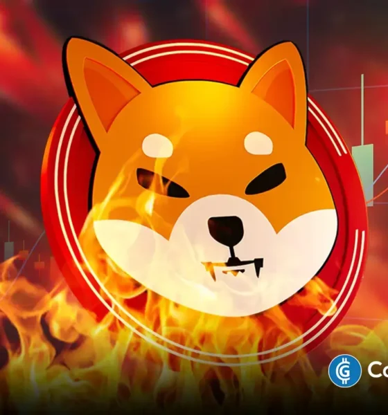 Can shiba inu price hit 0.01 as shib burn rate rockets 500.webp.webp