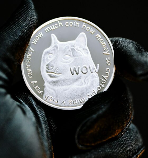 Dogecoin from unsplash 11.jpg