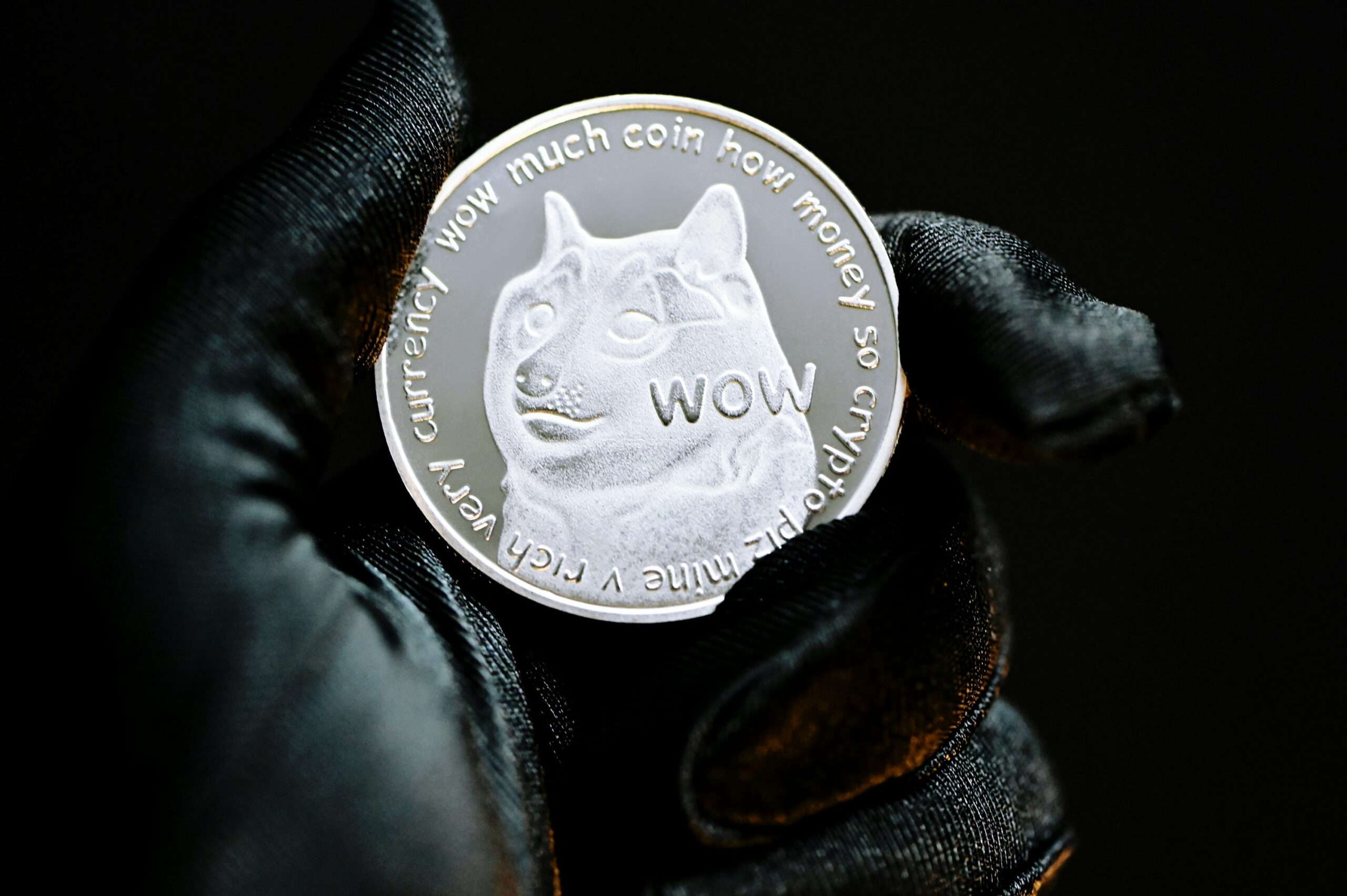 Dogecoin from unsplash 11.jpg