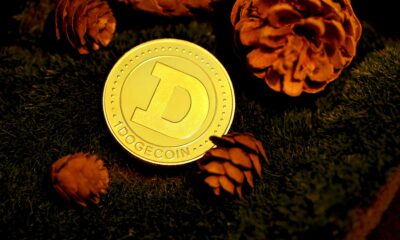 Dogecoin from unsplash 51.jpg