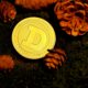 Dogecoin from unsplash 51.jpg